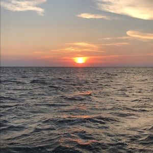 Meet your Posher, Bridget